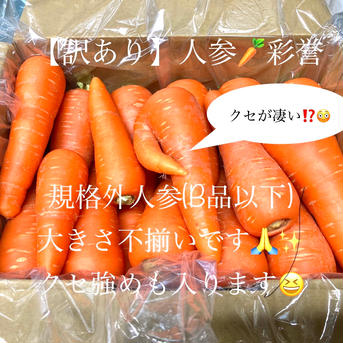 【訳あり】🌸春人参🥕彩誉✨5kg 5kg 野菜/人参通販