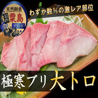 🐟寒ブリのシャトーブリアン🐟わずか数％とれない極寒ブリ"大トロ"刺身＆ブリしゃぶ用【2月中下旬発送開始】最上ランク個数限定約180g🐟冬ギフト🐟【アウルの日】 寒ブリ大トロ約180g 魚介類/ぶり通販