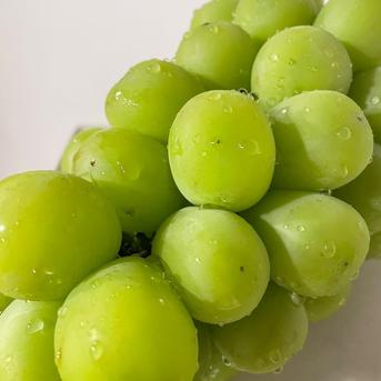 ◉2箱　シャインマスカット「摘み落とし」（500g×2P） 2kg（500g×4P） 果物/ぶどう通販