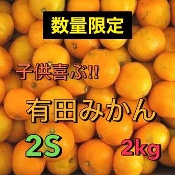 数量限定 今シーズン最後 有田みかん2s 2kg 2kg 果物/温州みかん通販