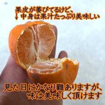 訳あり】【3箱まとめ買い】品種ミックス！生産者と消費者をマッチング