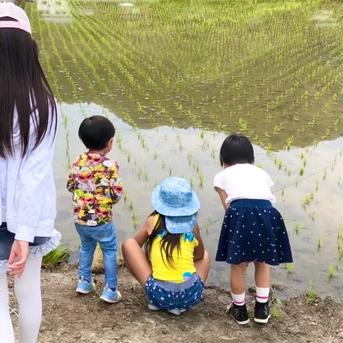 🌟残り僅か🌟令和7年新米❣高知産コシヒカリ🌾玄米30kg