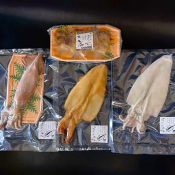 イカ4種☆豪華食べ比べセット ｜ 魚介類/イカ 産直アウル 農家・漁師