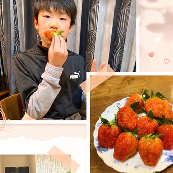 【日時指定可、最短翌日出荷】朝採れ新鮮！酸味の少ないイチゴ🍓（200g×2パック） 200g×2パック 果物/いちご通販