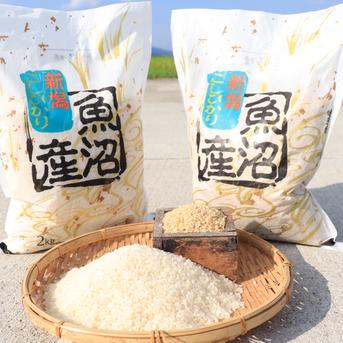 【令和6年産 玄米精米各2㎏】TVで紹介📺　南魚沼産コシヒカリ 玄米2㎏精米2㎏（計4㎏） 米・穀物/お米セット・詰め合わせ通販