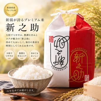 新之助 5kg ✕2袋米 新之助 5kg 米 2袋セット 食品 新之助 5kg 米 2袋セット