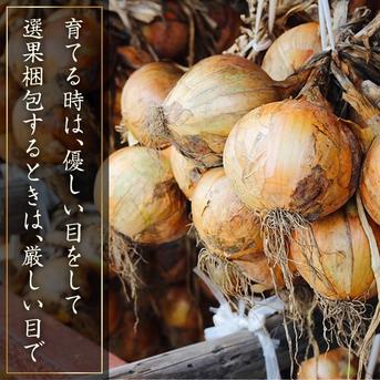 一度は食べてみたい玉ねぎ【完熟！淡路島産】たまねぎ (10kg) 10kg 野菜/玉ねぎ通販