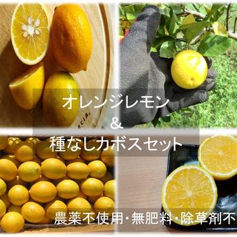 農薬不使用】2種の柑橘セット オレンジレモンと種なしカボス 農薬不 