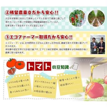 【極み】②食べ出したら止まらない！ソムリエミニトマト　ダイヤ3kg（120玉から200玉） 3kg（120玉〜200玉） 野菜/トマト通販