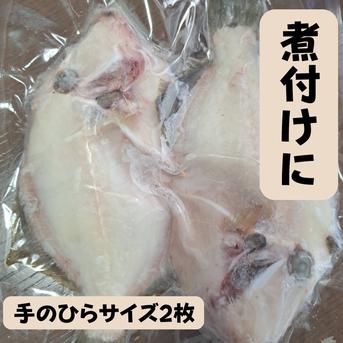 そのまま鍋にポン！カワハギ4枚セット 手のひらサイズ4枚 魚介類/その他魚介通販