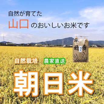 R7年朝日米 自然栽培(10年以上) で作った おいしいお米10kg（玄米