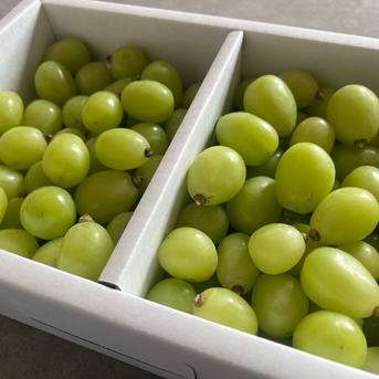 ◉各1箱 mix &シャインマスカット 粒1.5キロ | 果物/ぶどう 産直