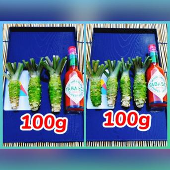 小さめ本生ワサビ_300g前後(訳アリ)お得,お試し,おまかせ ｜ 野菜/薬味