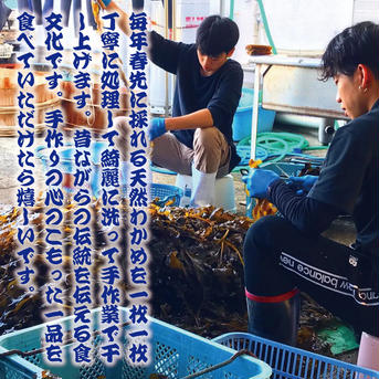 越前産 天然 干し板わかめ  20g 5パック 20g 5パック 魚介類/海藻通販