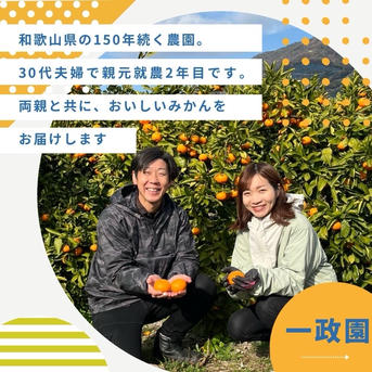 上野早生 箱込み3キロMサイズ 家庭用 有田みかん 低農薬 極早生 | 果物