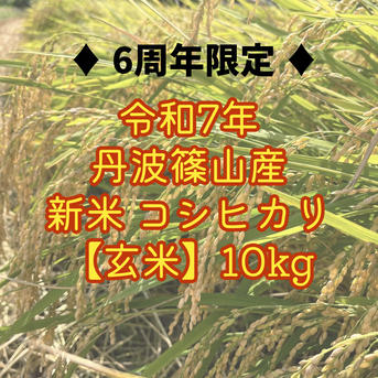 6周年限定】【玄米】新米 令和7年丹波篠山産コシヒカリ 10kg | 米