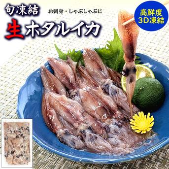 生ほたるいか新物　生食可（冷凍・真空パック）約250g×6パック【飲食店向け】 生ほたるいか　250g×６パック（冷凍・真空パック） 魚介類/イカ通販
