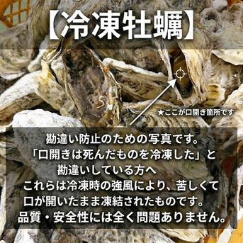 3年牡蠣 5kg 冷凍便 デカい牡蠣 生食用 殻付き 牡蠣 5キロ 宮城県