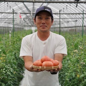 【大好評により受付終了！また来年お願いします】大蔵トマト4Kg【凸凹大中玉／4Kg箱詰め放題】 4Kg箱詰め放題 野菜/トマト通販