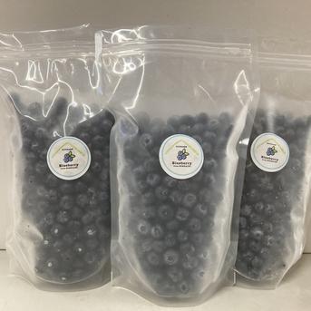 冷凍ブルーベリー3kg(500g×6） ｜ 果物/ベリー類 産直アウル 農家