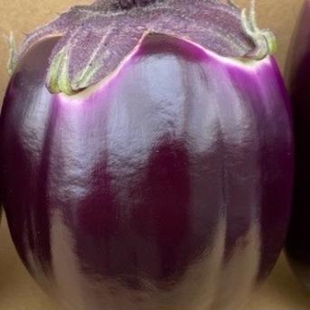 世界1美味しいと言われているヴィオレッタ デ フィレンツェ ｜ 野菜