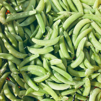 シャキシャキ！甘い！スナップエンドウ！【今ならおまけ野菜付き】1kg 1kg 野菜/豆類通販