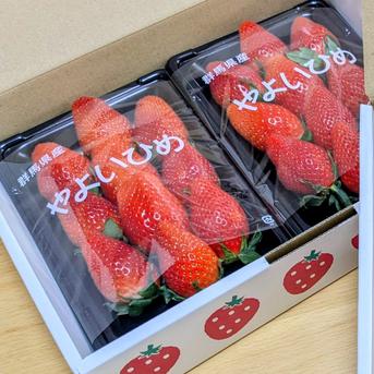 サイズおまかせでお得！】やよいひめ 2パック | 果物/いちご 産直