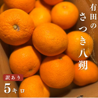 ちえさん専用、訳あり、箱込み8キロ さつき八朔 5キロ（箱込み）訳あり はっさく さつき八朔 ｜ 果物