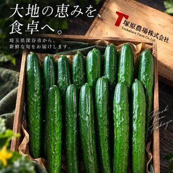 深谷プレミアムきゅうり2kg＋キラメ＆トキメ お試しセット ｜ 野菜