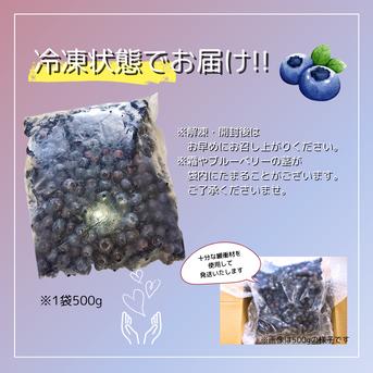 お得【2kg】冷凍ブルーベリー ｜ 果物/ベリー類 産直アウル 農家・漁師 