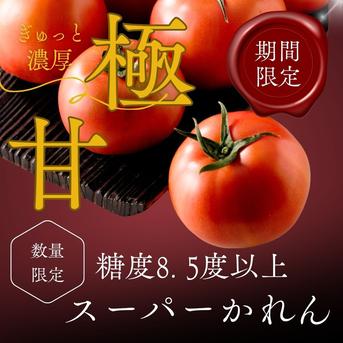 糖度8.5度以上！極甘スーパーかれん1kg ｜ 野菜/トマト 産直アウル