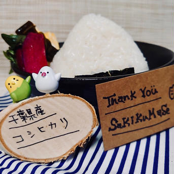 くりやまさんちのお米 10kg 米・穀物/米/精米通販