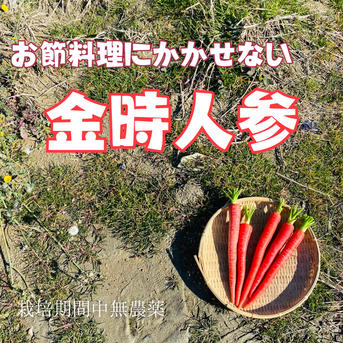 あま〜い金時人参🥕 2キロ(20〜25本) ※大量注文ご希望の場合はご連絡ください 野菜/人参通販