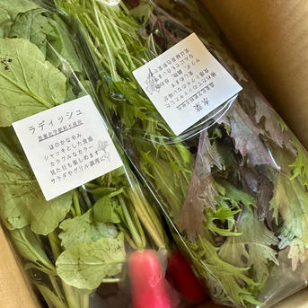 野菜ページ 20210122041813.jpg