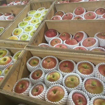 訳あり❗️青森の特産品🍎ぐんま名月🍏 約4~5kg 13~15個 果物/りんご通販