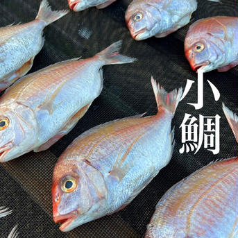 食卓を華やかに★ノドグロと小鯛の干物セット ノドグロ２P(2-4尾)、小鯛２P(2-4尾) 魚介類/鯛通販