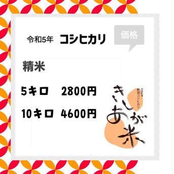 新潟県阿賀町産コシヒカリ 5キロ 米・穀物/米/精米通販