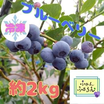 完熟冷凍ブルーベリー【2L・Mix・M】合計4kg 樹上完熟】冷凍ブルーベリー品種MIX 2kg ｜ 果物/ベリー類 産直アウル