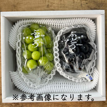 長野県松本産 ご家庭用ぶどう【ナガノパープル】2〜3房 約1キロ | 果物