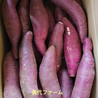 【訳ありでお得】熟成紅はるか (混合S.M) 早い勝ち(●'◡'● 10キロ（箱含め）訳あり品🉐 野菜/さつまいも通販