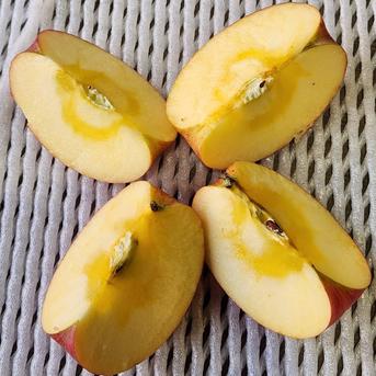 家庭用のりんご🍎サンふじ🍎大玉～中玉サイズ14玉入り ｜ 果物