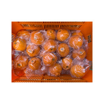 16.ブラッドオレンジ家庭用大小10キロ 九州から関東料金 4339849ec418f0f113f7f1237bbd77