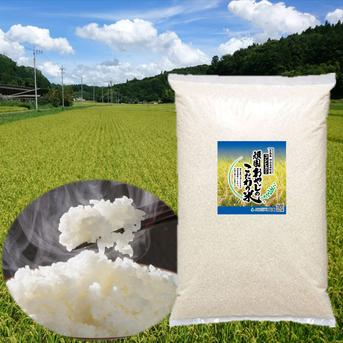 コシヒカリ 精米15kg(5kg×3) 広島県神石高原町 令和4年産 精米15kg（5kg×3袋） 米・穀物/米/精米通販
