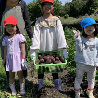 新物！デストロイヤー！2キロ即日配送 2キロ 野菜/じゃがいも通販