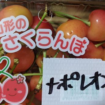 紅秀峰とナポレオン 800g 果物/さくらんぼ通販