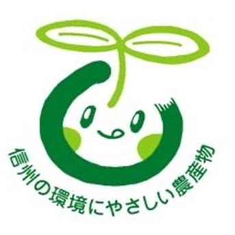 皮ごと種なしナガノパープル 2.5キロ 果物/ぶどう通販