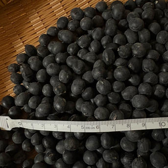 丹波篠山産 黒大豆「丹波黒」産地直送 ☆【大】1.5kg☆ 令和7年産