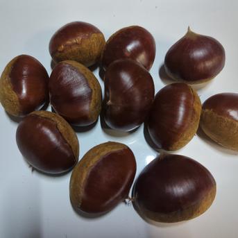 山鹿和栗3Lサイズ　箱込み1キロ 3Lサイズ　箱込み1キロ 果物/栗通販
