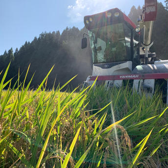【新米•予約特典送料シェア】新潟県長岡産コシヒカリ精米5㎏ 5㎏ 米・穀物/米/精米通販