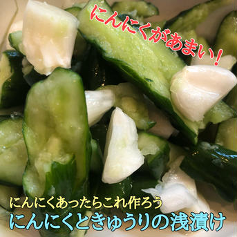 【テレビで紹介】市場に出回らない「半」生にんにく15玉（青森県十和田市産白玉王） 青森にんにく白玉王（半生）15玉 野菜/にんにく通販